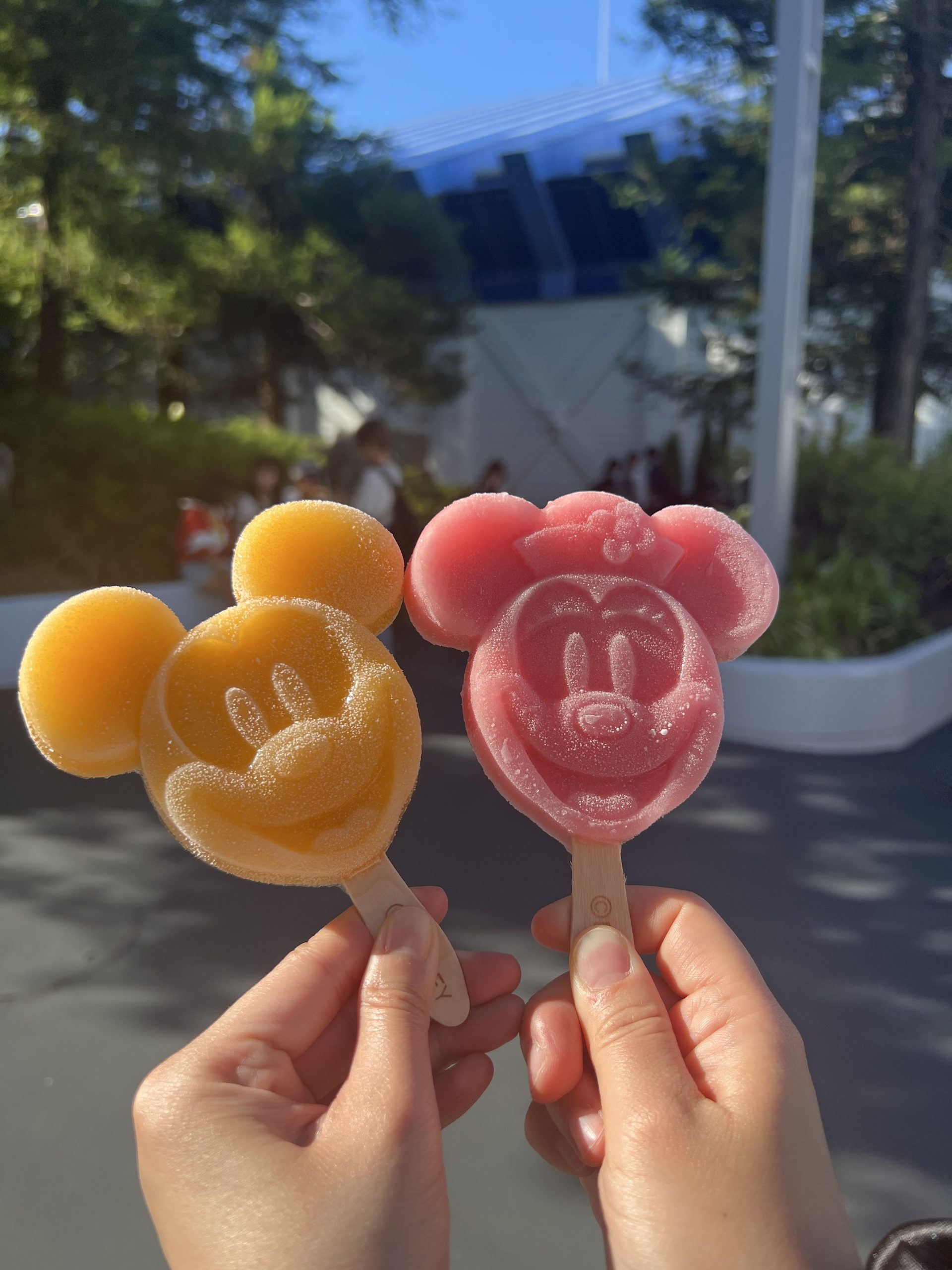 Occupational therapy | sydney OT | OT near me| parramatta